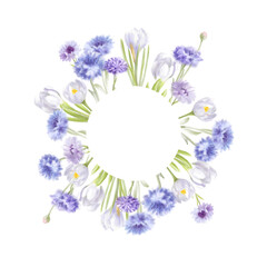 Floral frame. Cornflowers and crocuses on a light background. 