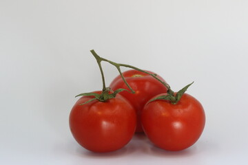 tomatoes on a white background