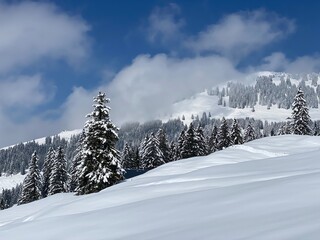 Fototapeta na wymiar Fairytale alpine winter atmosphere and snow-capped alpine peak Stockberg (1781 m) in the Alpstein mountain massif, Nesslau - Obertoggenburg region, Switzerland (Schweiz)