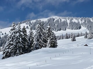 Fairytale alpine winter atmosphere and snow-capped alpine peak Stockberg (1781 m) in the Alpstein mountain massif, Nesslau - Obertoggenburg region, Switzerland (Schweiz)