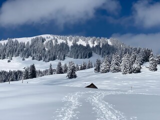 Obraz premium Fairytale alpine winter atmosphere and snow-capped alpine peak Stockberg (1781 m) in the Alpstein mountain massif, Nesslau - Obertoggenburg region, Switzerland (Schweiz)