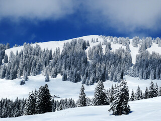 Fairytale alpine winter atmosphere and snow-capped alpine peak Stockberg (1781 m) in the Alpstein mountain massif, Nesslau - Obertoggenburg region, Switzerland (Schweiz)