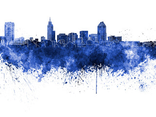 Fototapeta premium Raleigh skyline in watercolor background