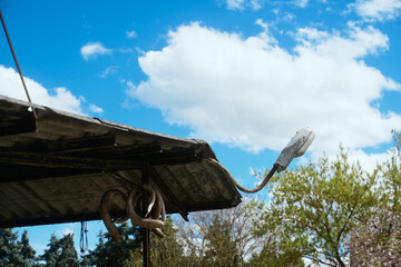 gew&auml;chshaus rundgang