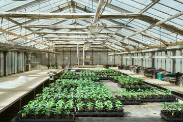 gew&auml;chshaus rundgang