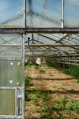 gew&auml;chshaus rundgang