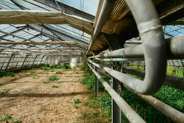 gew&auml;chshaus rundgang