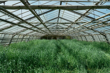 gew&auml;chshaus rundgang