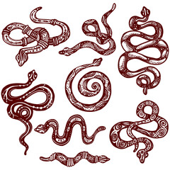 Mystical Snakes Illustration Silhouette snakes