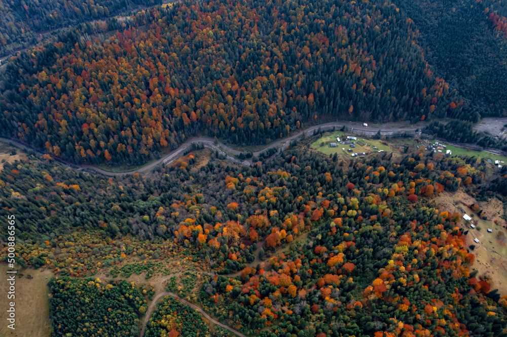 Wall mural aerial view of beautiful forest on autumn day