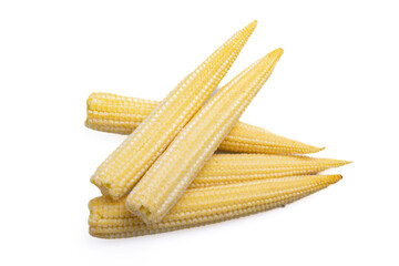 baby corn on a white background