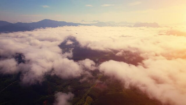 Drone flying above the clouds during sunrise. Many mists cover the green mountains. Aerial top cloudscape view from drone. Khao sok National Park, Surat Thani, Thailand. 4K
