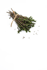 Bunch of thyme sprigs on white background. Thymus serpyllum bundle, close up.