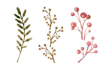 green leaf plant on white background- vintage effect style illustration