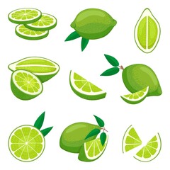 Lime citrus. Green agricultural vitamin fruits. Slices and cut pieces, limes for mojito or lemonade. Raw ingredients, isolated cartoon neoteric organic vector set