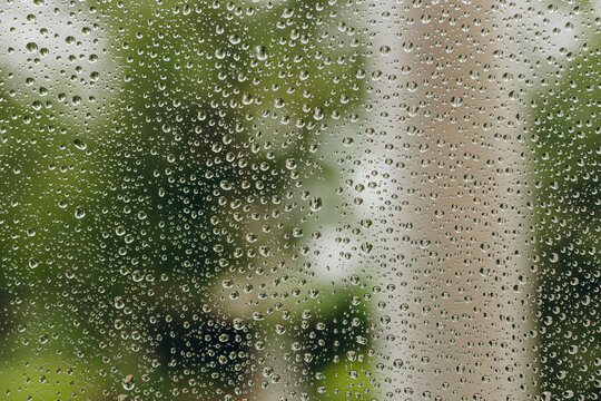 We can see a lot of drops of water on the window.