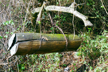 A traditional bee hive in the forest at Elgeyo Marakwet County, Kenya