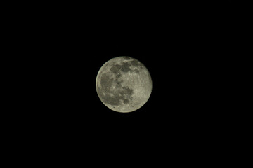 full moon rising