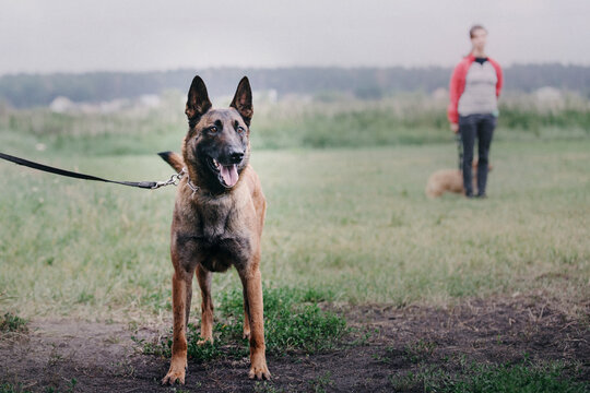 Igp Bilder Durchsuchen 1,074 Archivfotos, und Videos