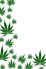 Weed border with green cannabis isolated on white