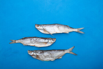 Salty dried fish on blue background. Sabrefish (Pelecus cultratus) - popular beer appetizer