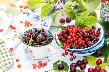 Freshly gathered juicy red currants, cherries, raspberries, blueberries in white metal plate and cup in garden on sunny day close up, berries on white wooden table background