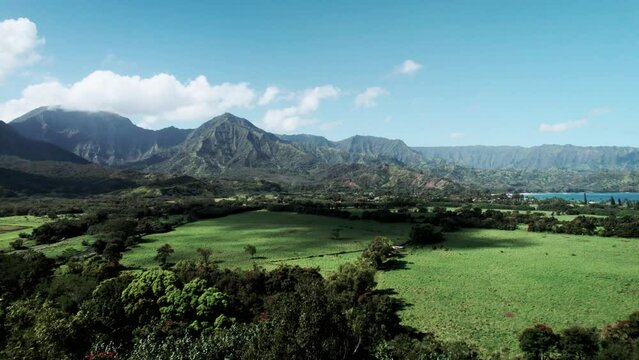 Fly through tropical trees revealing panoramic mountains above Hanalei Bay, Aerial