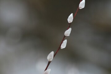 Nature of Ukraine: Spring Hike