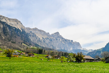 Fototapeta na wymiar Muotathal, Dorf, Wanderweg, Muota, Fluss, Muotatal, Bergtal, Pragelpass, Landwirtschaft, Felder, Frühling, Schwyz, Schweiz