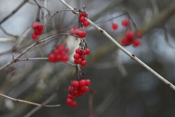 Nature of Ukraine: Spring Hike