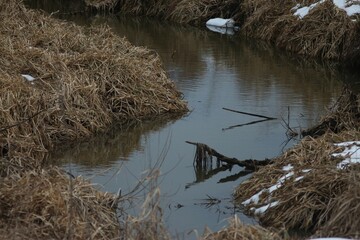 Nature of Ukraine: Spring Hike