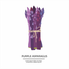 Bunch of purple asparagus tied with a rope © iryna