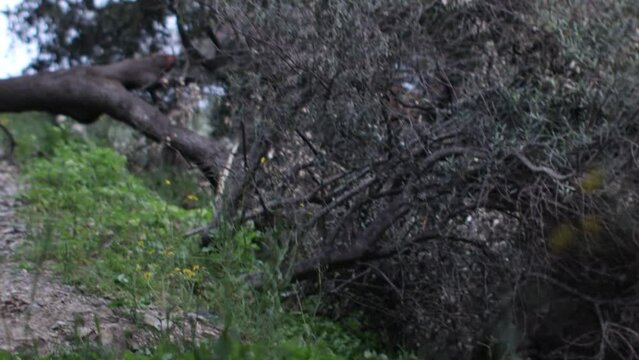 Prises de vues ch&acirc;teau de Hy&egrave;res