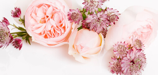 Fototapeta na wymiar Beautiful pink pale roses on white background