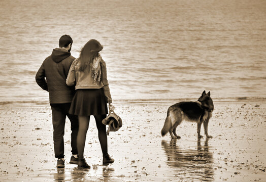 Couple amoureux balade au bord de mer avec un chien