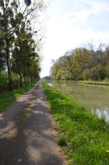 Fototapeta na wymiar Chemin de halage véloroute canal de Bourgogne