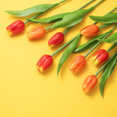 Mother's day background concept. Top view design of holiday greeting tulip flower bouquet on bright yellow table