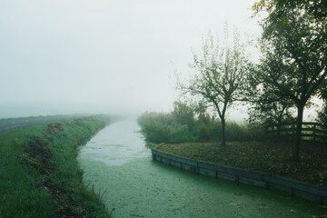 Typical dutch polder landscape. Fog in the early morning in the Netherlands, country road turn in perspective.
