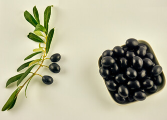 Olive branch with fresh olives