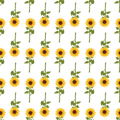 Seamless pattern with yellow sunflowers on white background. Print with element of nature, plant for decoration and design. Vector flat illustration