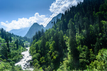 Green Landscape of Manali, HImachal Pradesh, India
