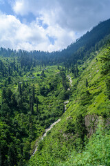 Fototapeta na wymiar Green Landscape of Manali, HImachal Pradesh, India 