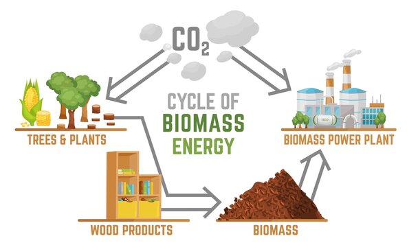 Biomass energy landscape poster with useful infographics. Vector illustration