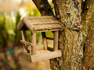 bird feeder