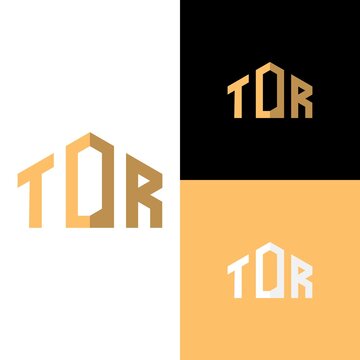 Initials TDR logo. modern and clean logo in the shape of a house