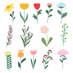 Set of different flowers.