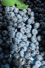 Flat lay of fresh organic juicy blueberries on blue background, hard sun light
