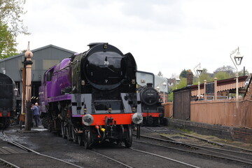 Obraz premium the taw valley re painted purple to celebrate the queens platinum jubilee 