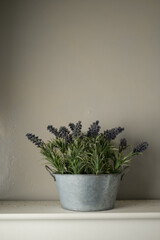 Lavender Plant in a Metal Container on a White Shelf
