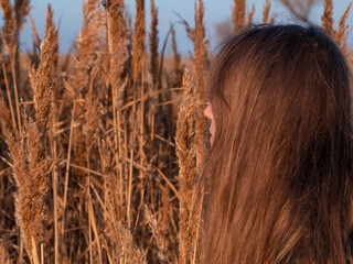 Pretty young woman in black coat with backpack smartphone on pampas grass sunset sky dry reeds. Millennial long hair girl walking spending time alone. Lifestyle real people with mobile device outdoor.